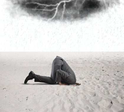 head_in_sand.jpg