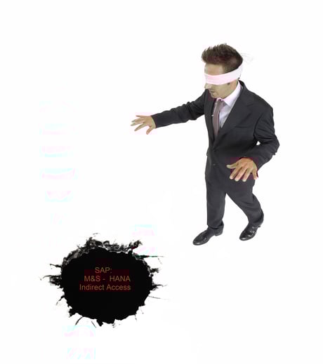 SAP Pitfalls 2018.jpg
