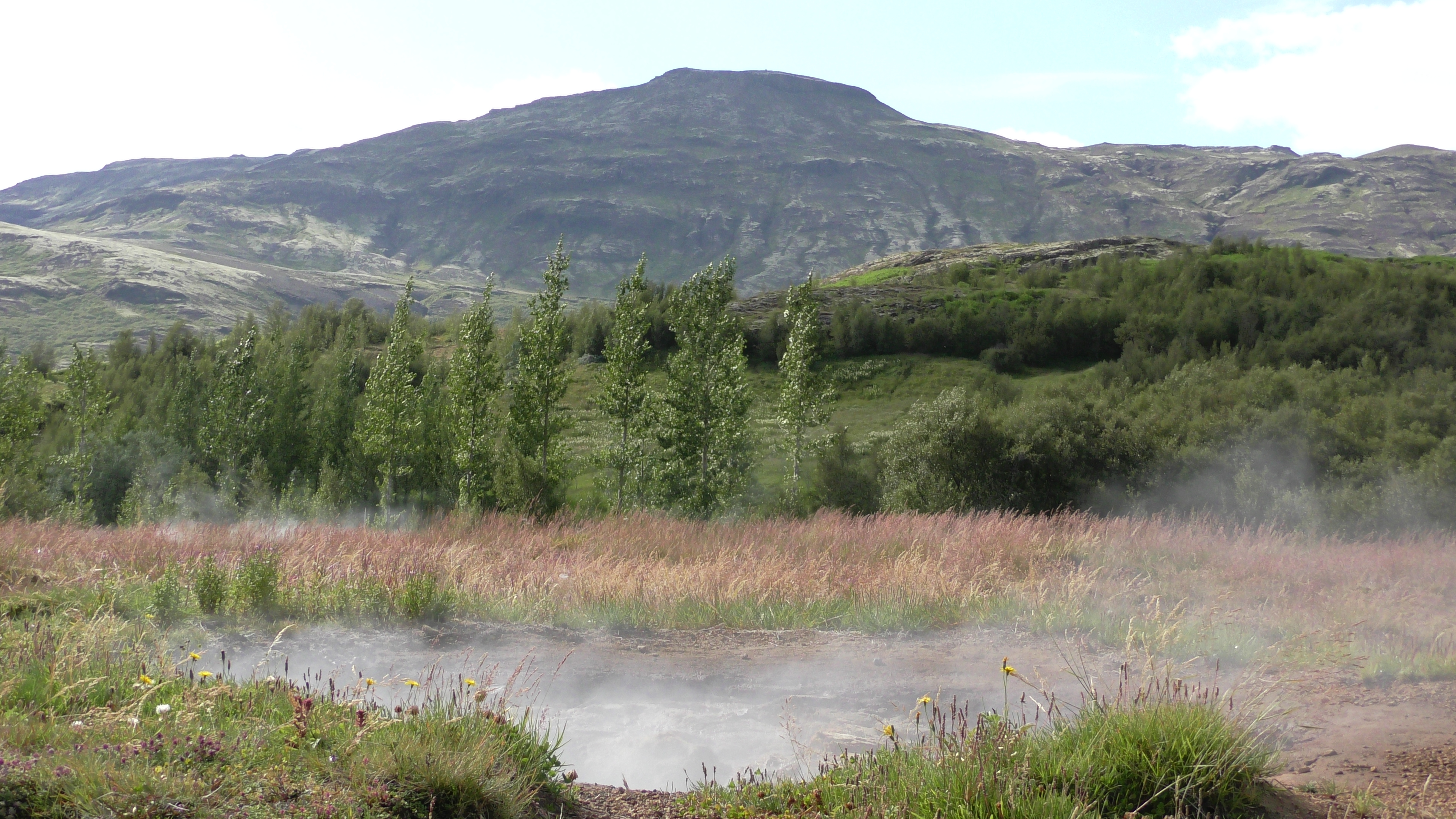 sept 2017 newsletter.jpg