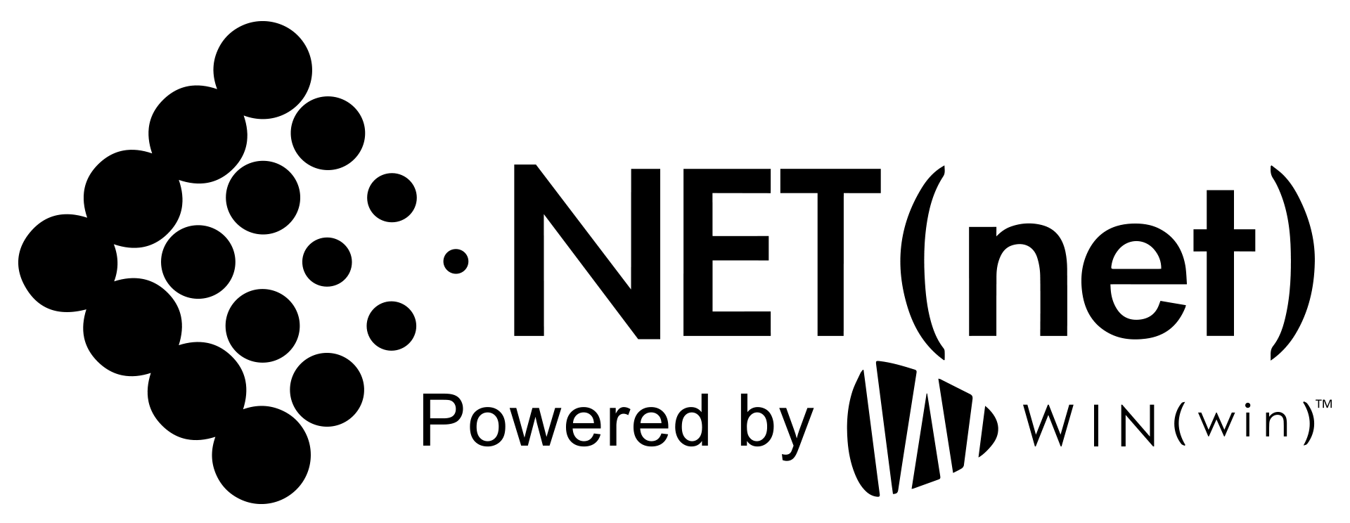 Logo DS Black transparent