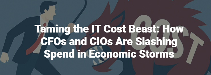 cost beast newsletter